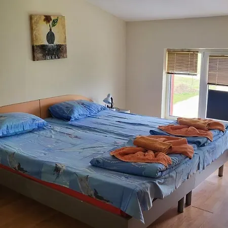 алекс סינמורץ