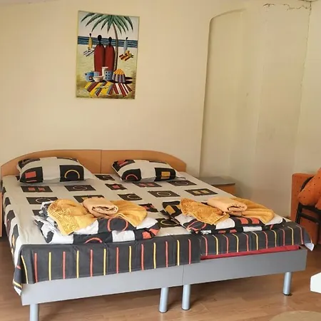 בית הארחה алекс