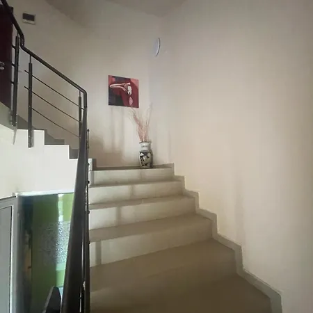 алекс סינמורץ