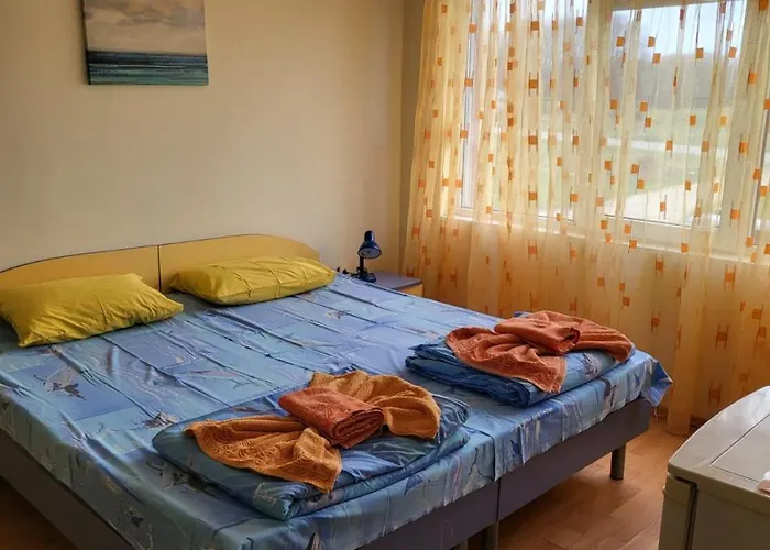 алекс Guest house Sinemoretz