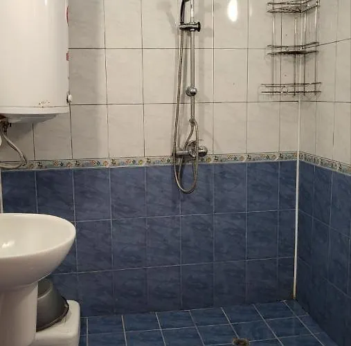 Guest house алекс Sinemoretz