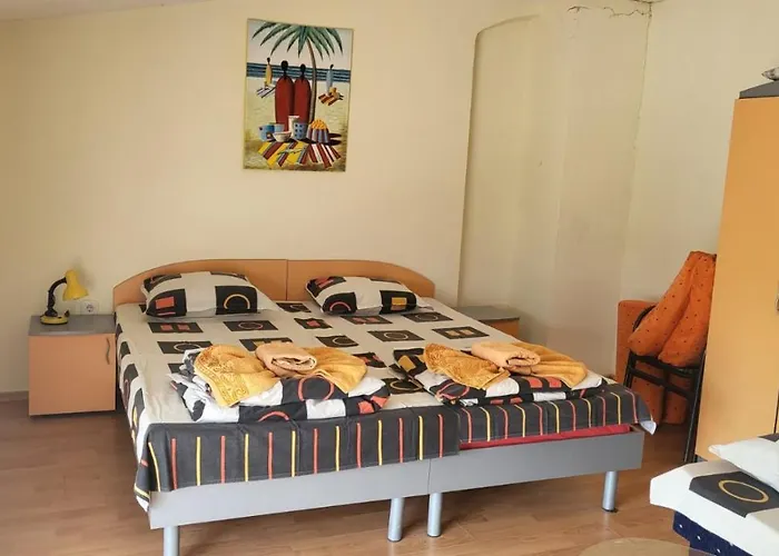 Guest house алекс