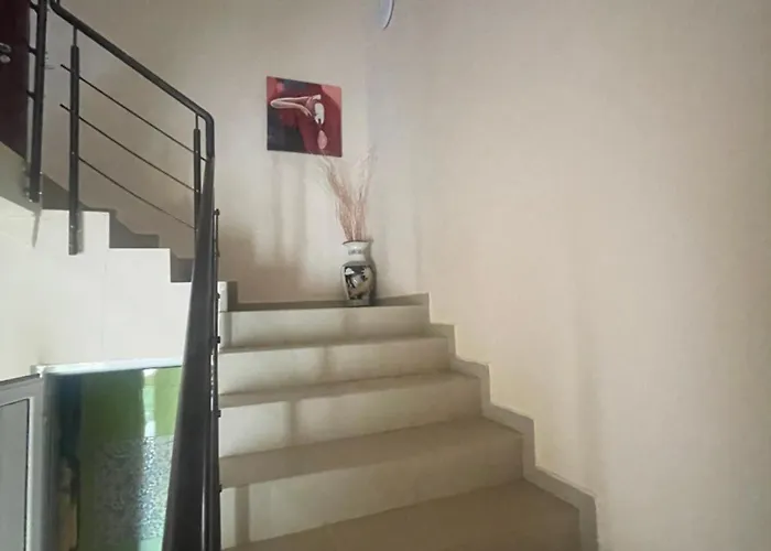 алекс Sinemoretz