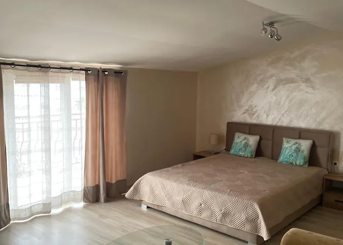 Guest house алекс 3*