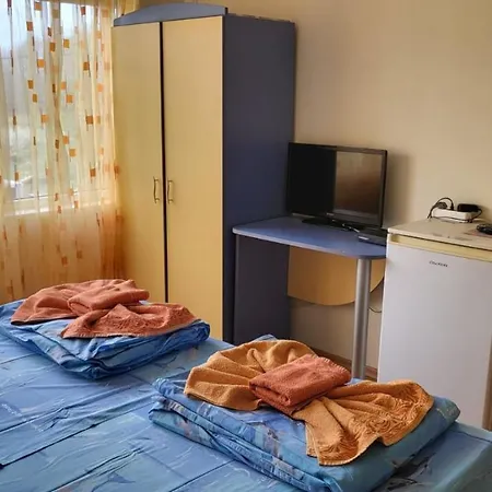 алекс 시네모레츠