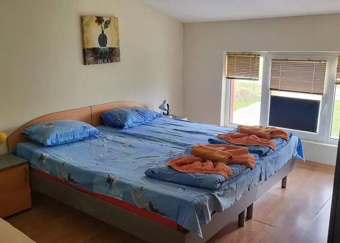 алекс Синеморец